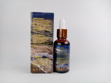 XNO COSMETICS X LIFE WITH JESS vitamin C serum